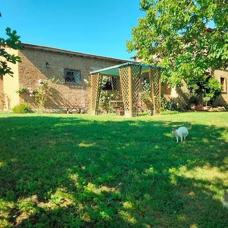Tenuta Vallenoci *