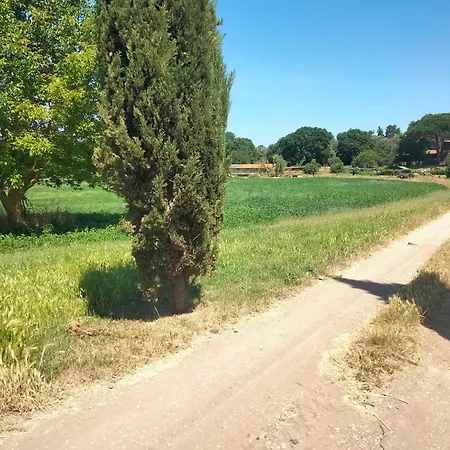 Tenuta Vallenoci Holiday home